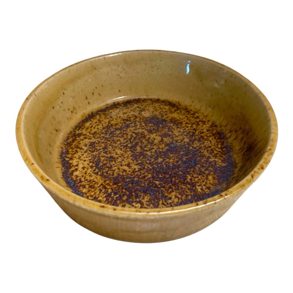 Artisan Studio Rustic Speckled Glazed Stoneware Ceramic Serving Bowl Decor Dish